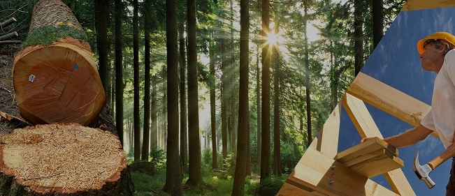 Le bois a son AOC : Bois des Territoires du Massif Central