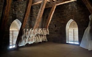 Il faut sauver le jambon de la Cathédrale !
