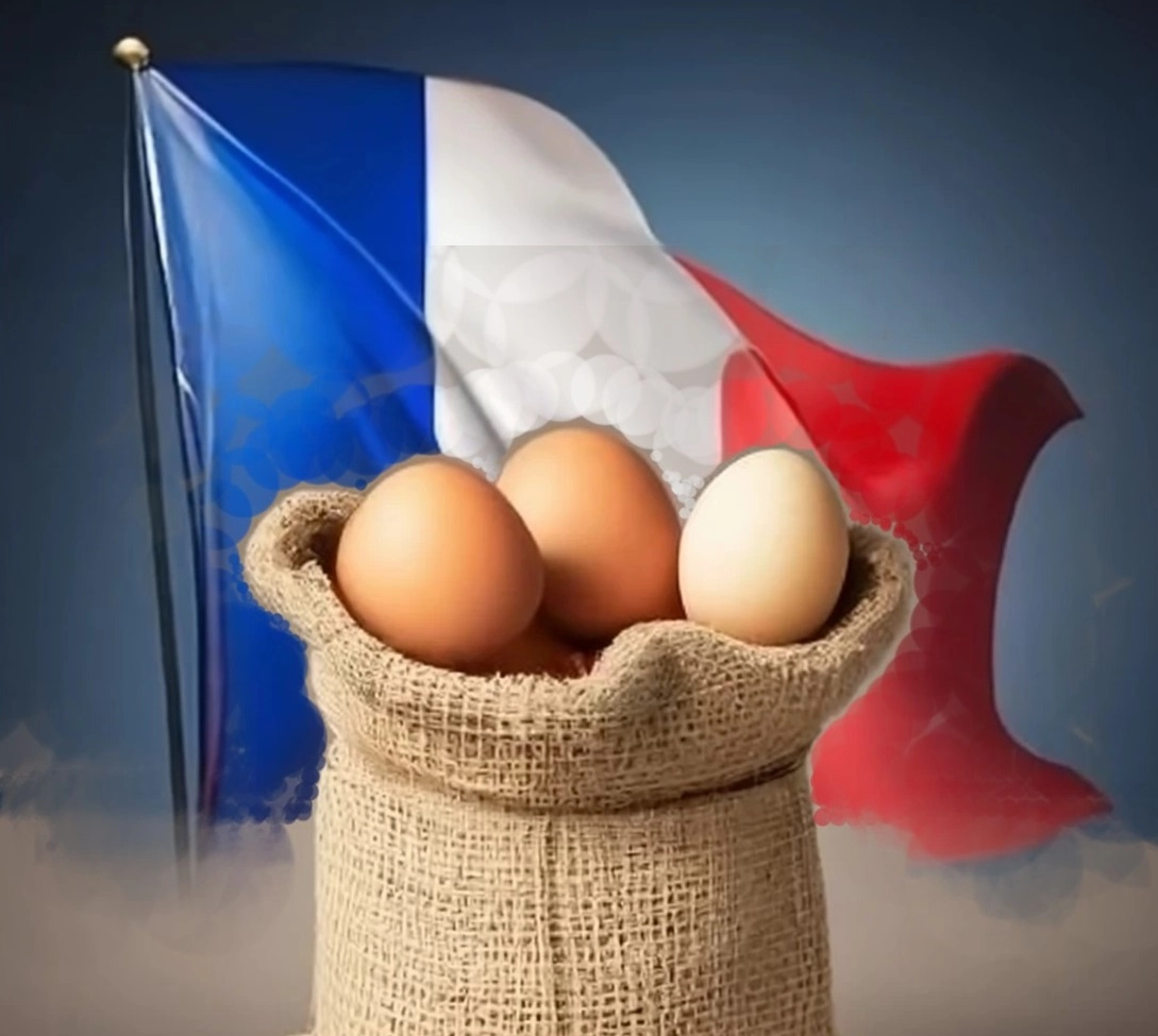 Il faut sauver les œufs français !